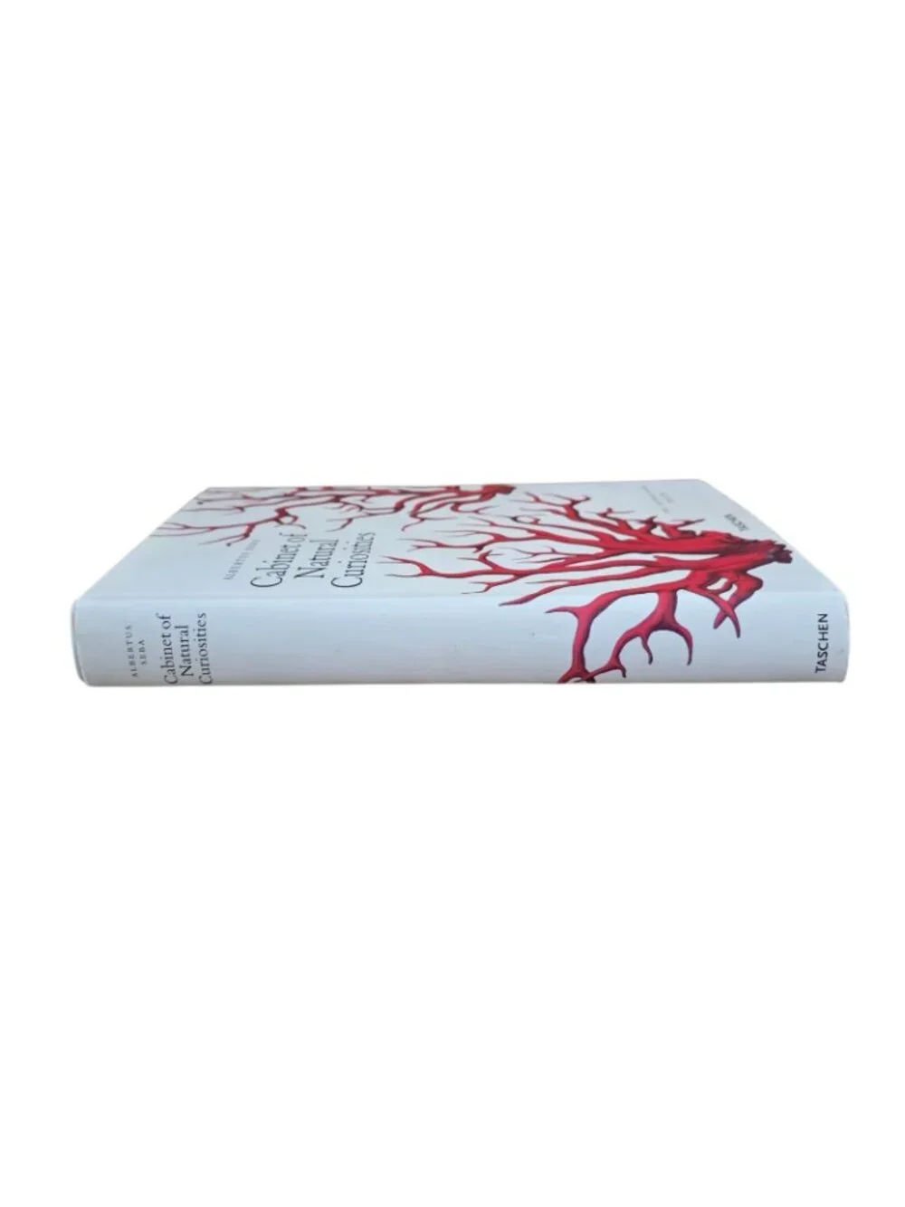 Albertus Seba 1st Ed 2006 Cabinet of Natural Curiosities Natural History HC w/DJ